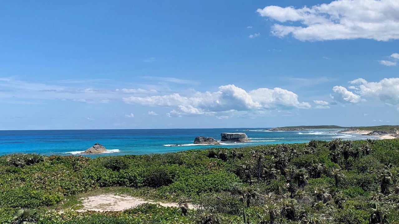 Photo of Others in Salt Pond