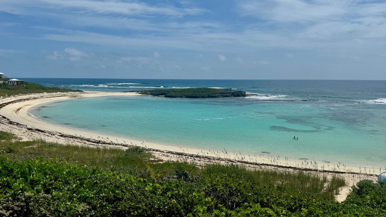 Photo of Others in Salt Pond