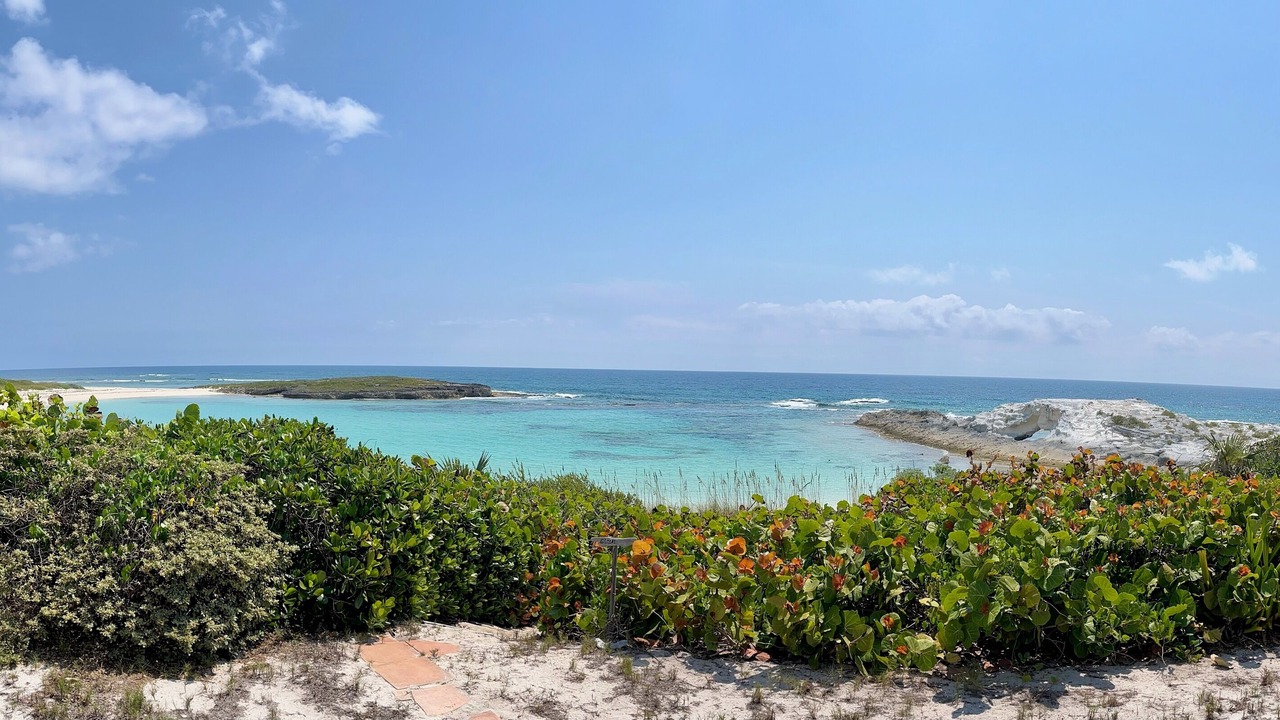 Photo of Others in Salt Pond