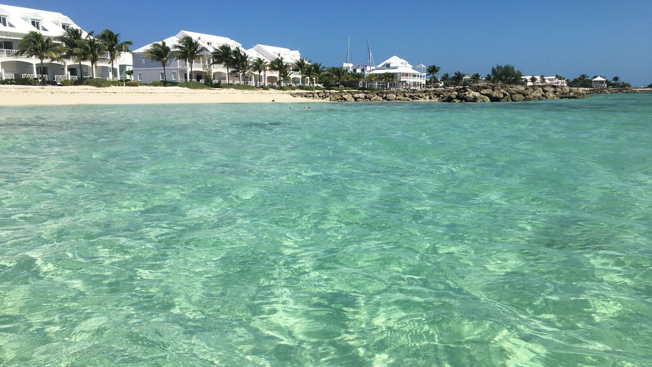 Photo of Others in Palm Cay