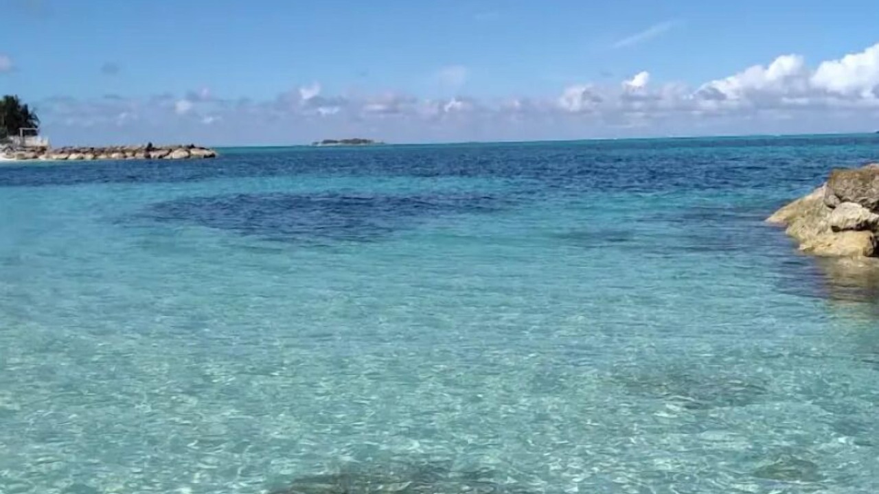 Photo of Others in Nassau