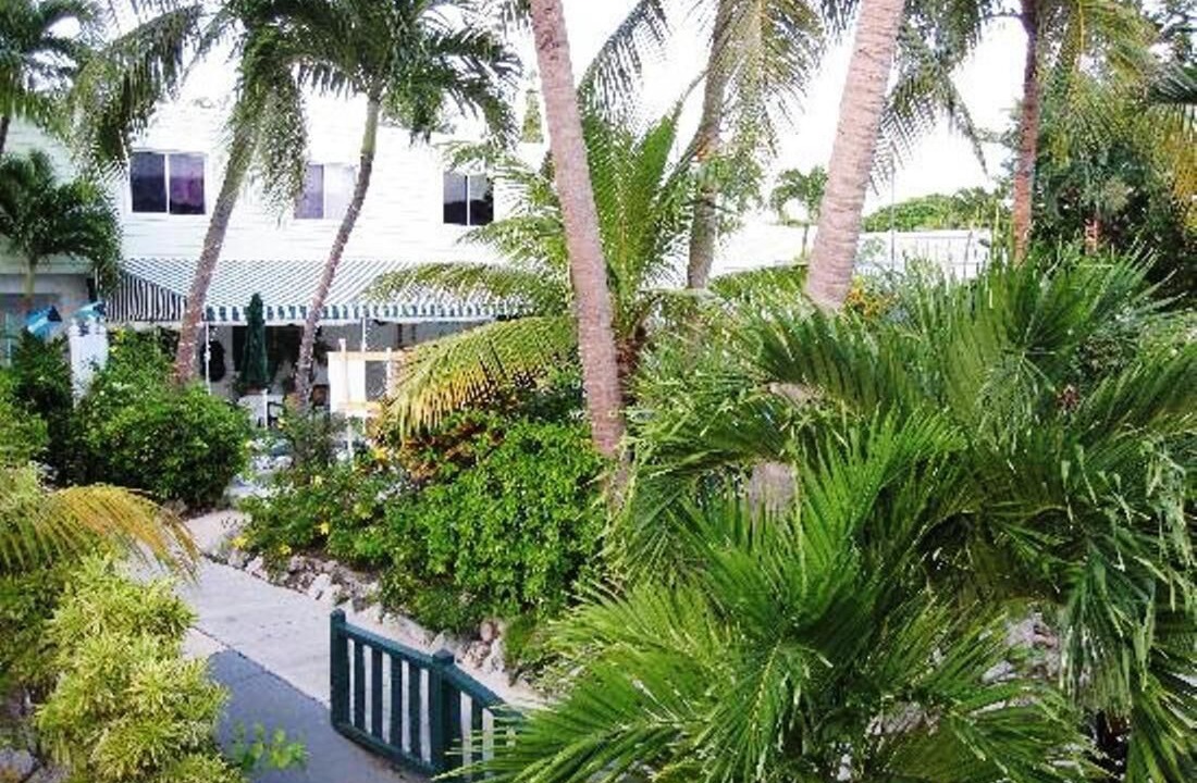Photo of Outdoor in Paradise Island