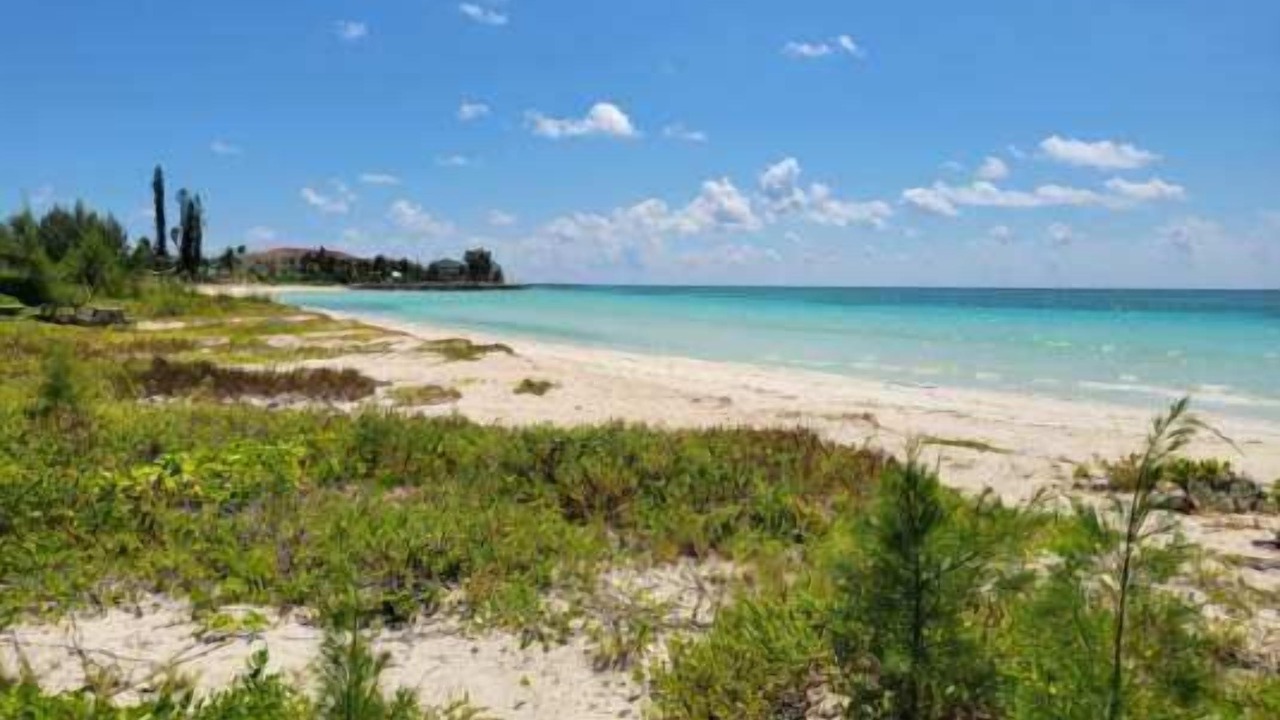 Photo of Others in Bahamia West