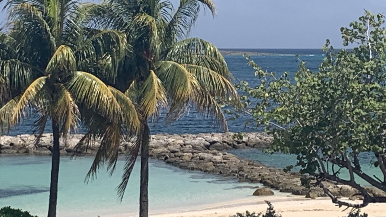 Photo of Others in Nassau