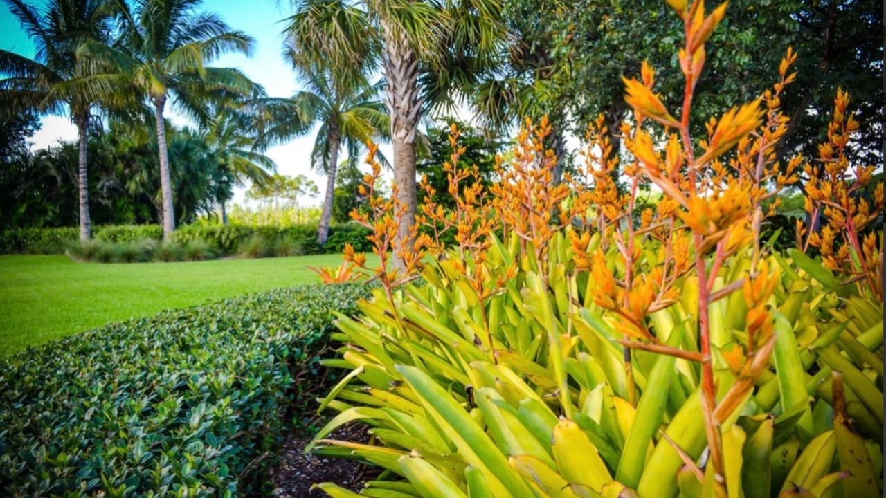 Photo of Outdoor in Nassau