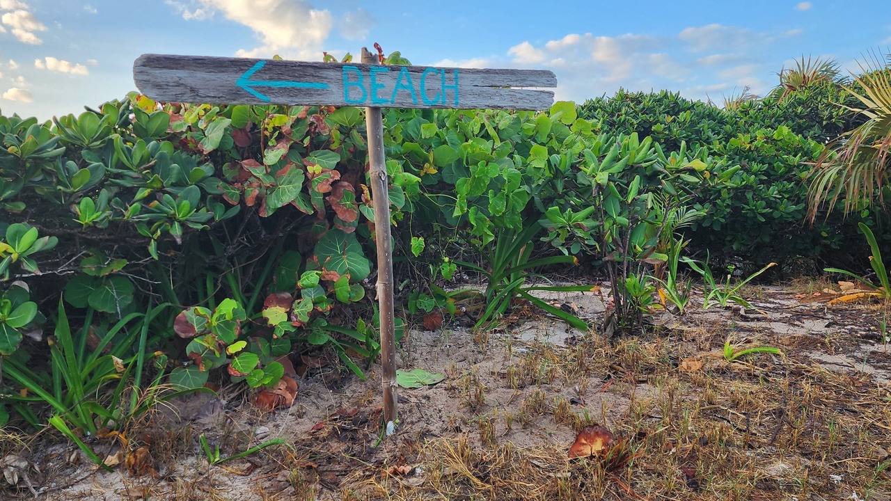Photo of Others in Salt Pond
