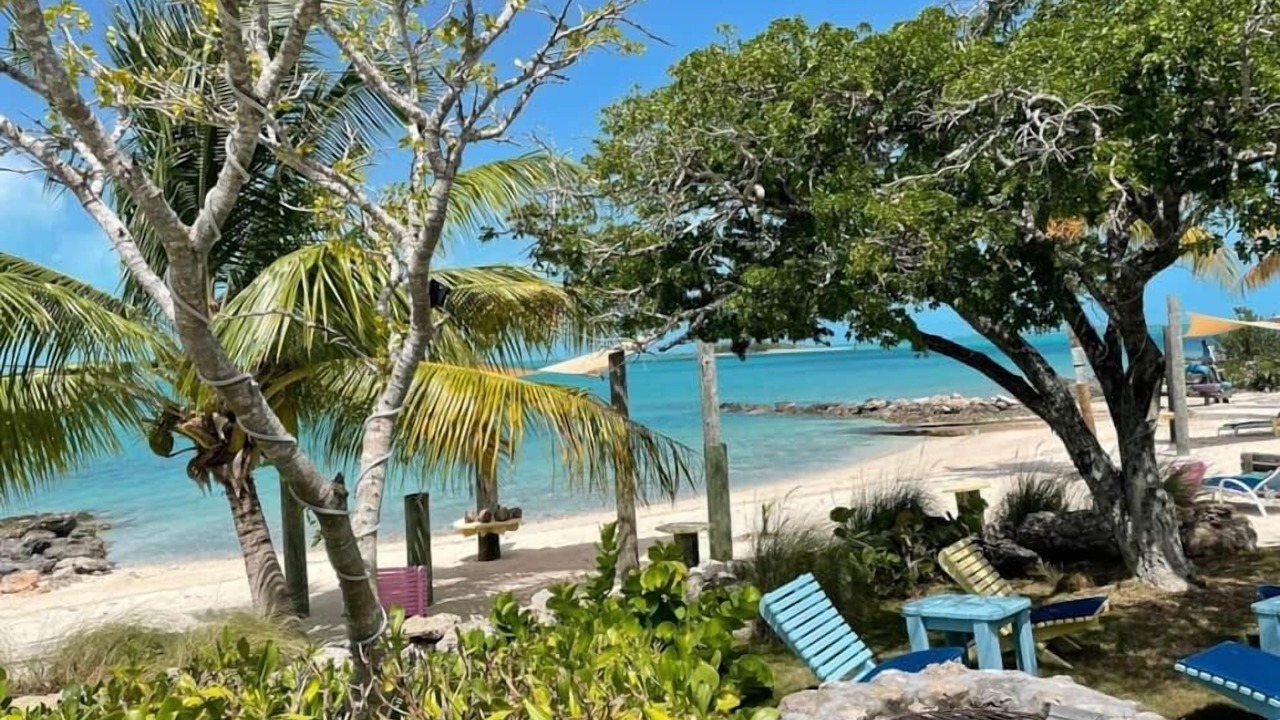 Photo of Others in Salt Pond