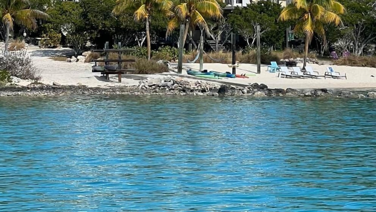 Photo of Others in Salt Pond