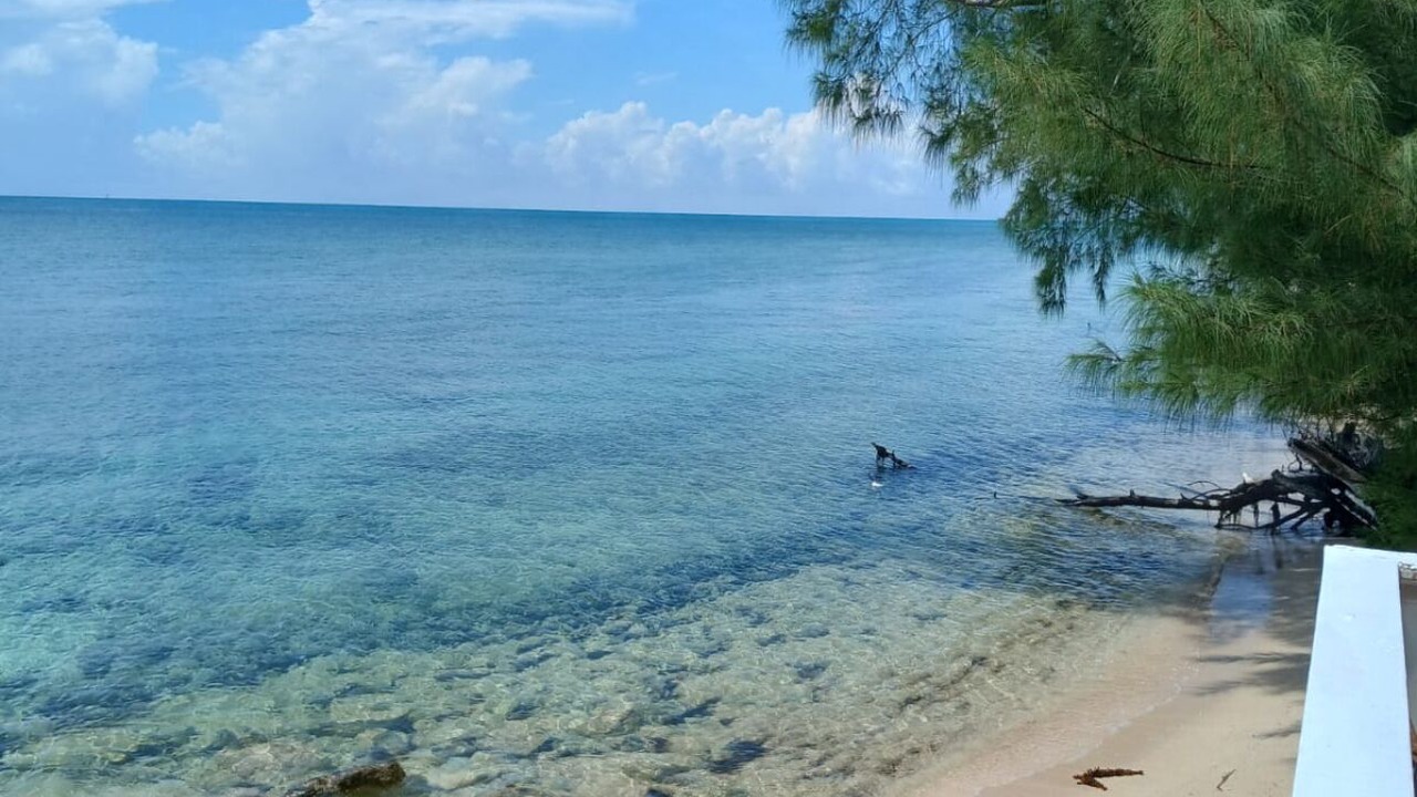 Photo of Others in Coral Harbour