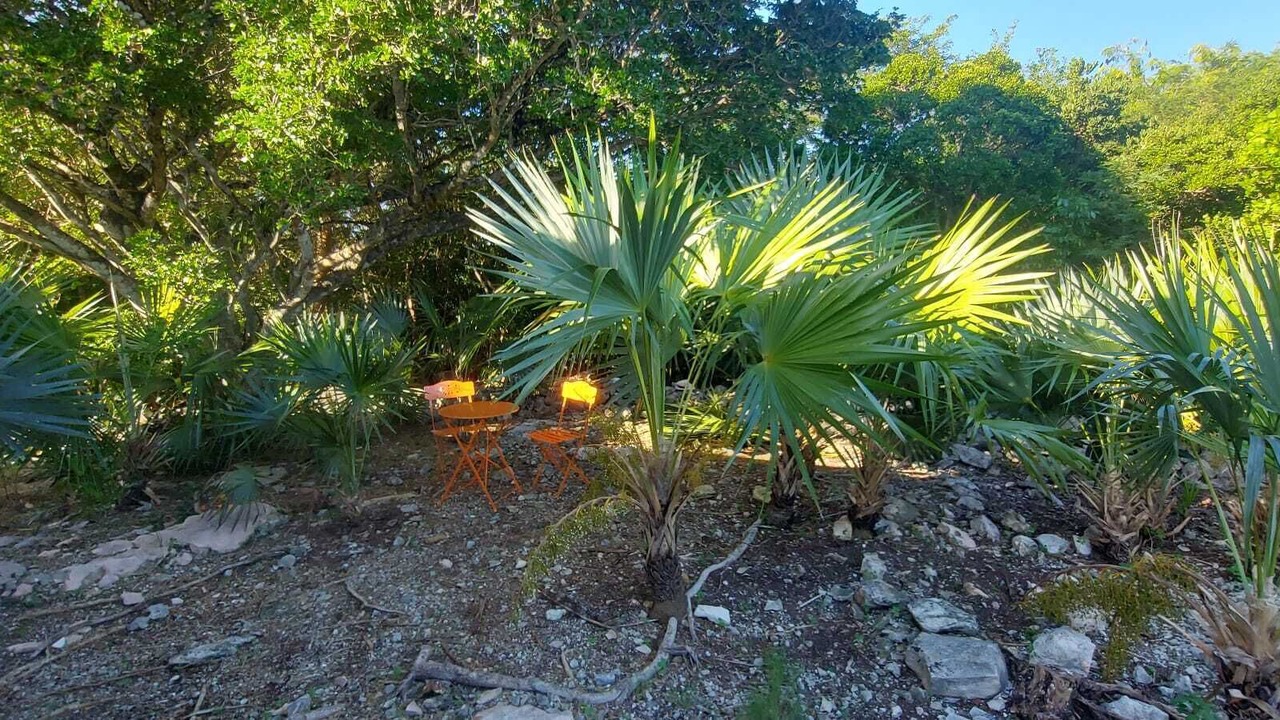 Photo of Outdoor in George Town