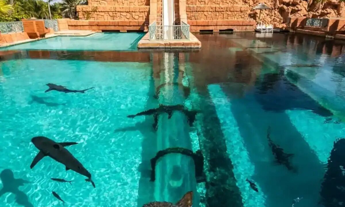 Photo of Outdoor in Nassau