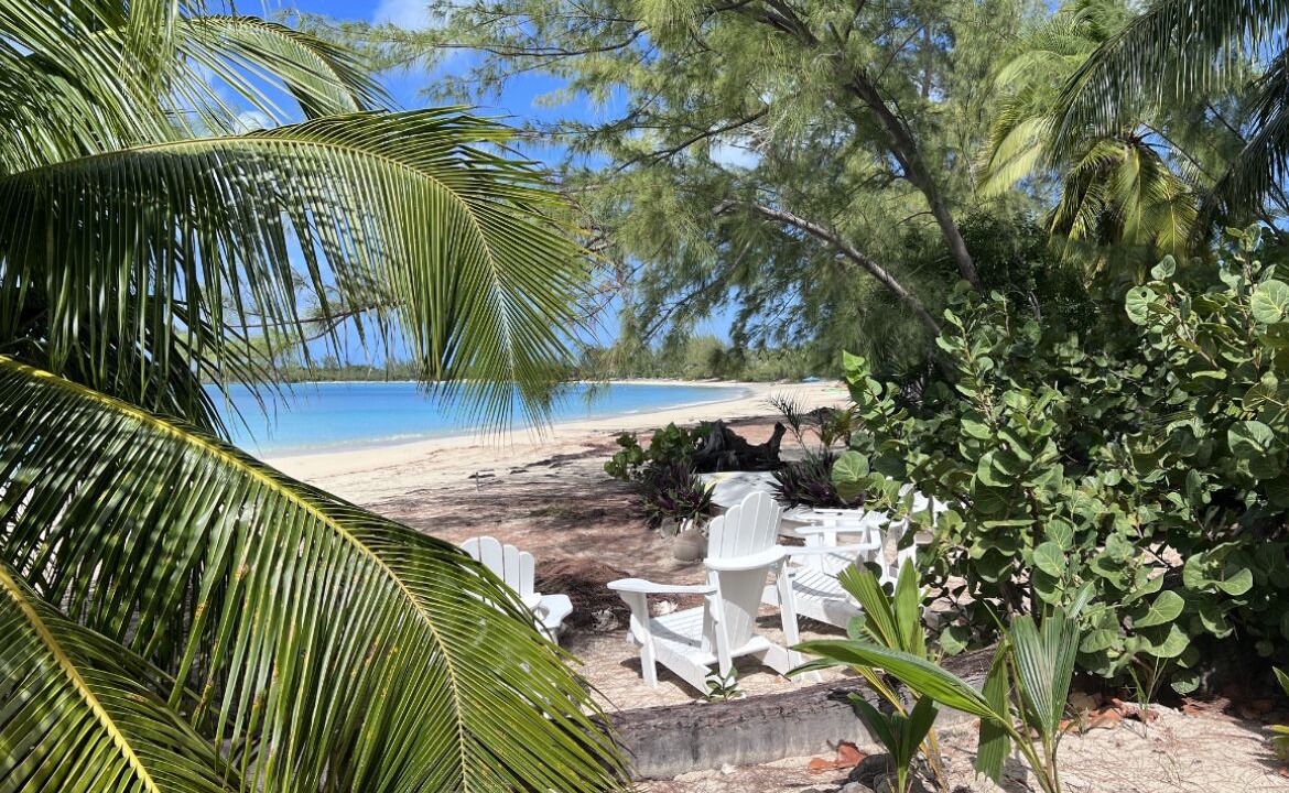 Photo of Outdoor in New Bight