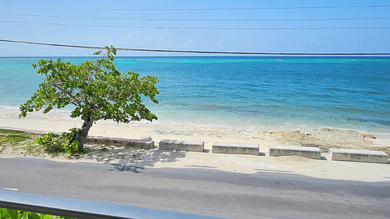 Photo of Others in Gambier