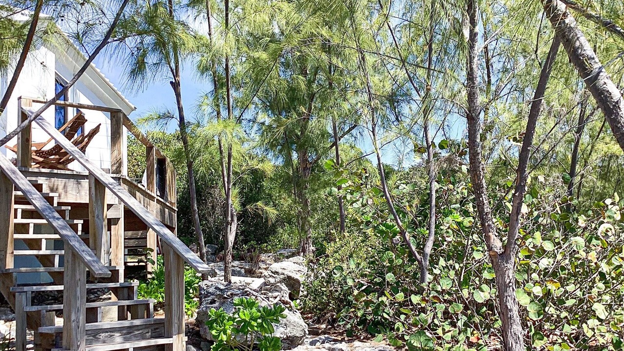 Photo of Outdoor in Rainbow Bay
