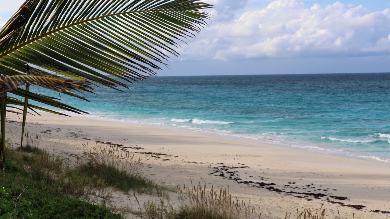 Photo of Others in Great Guana Cay
