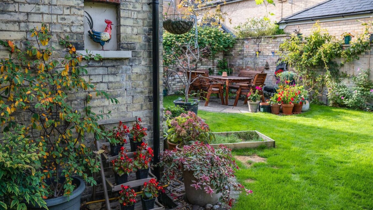 Photo of Outdoor in Cambridge