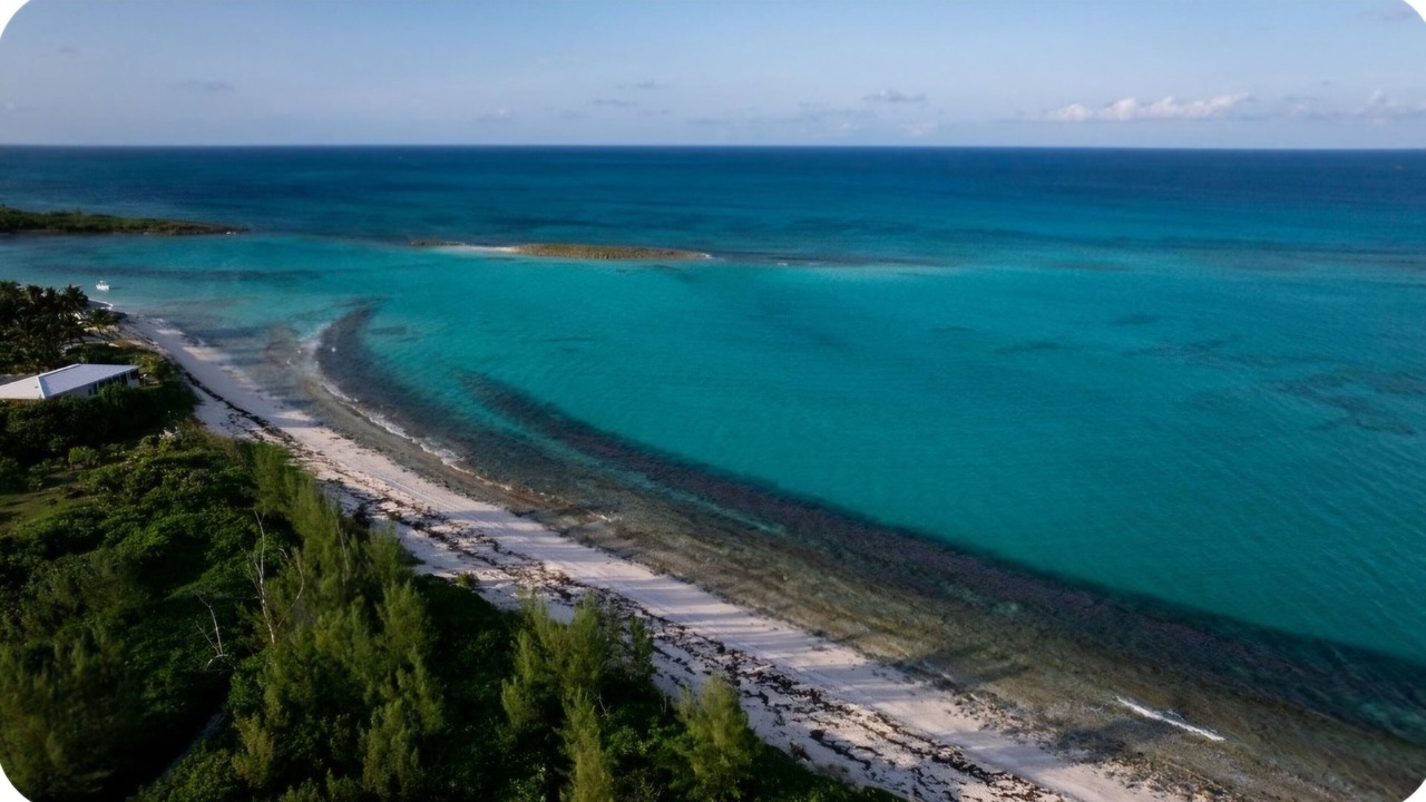 Photo of Others in Green Turtle Cay