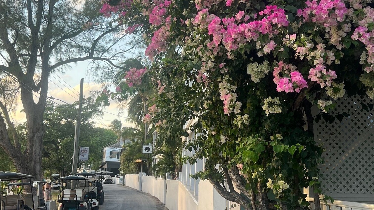 Photo of Outdoor in Dunmore Town
