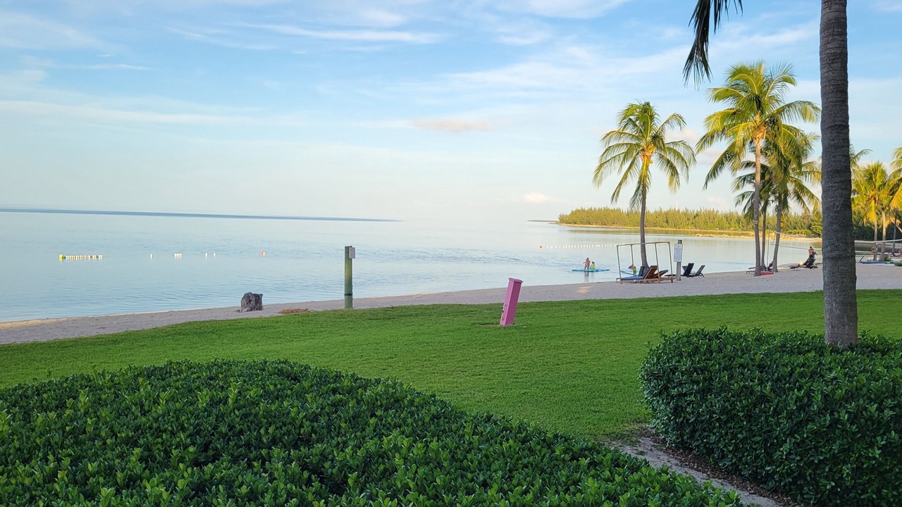 Photo of Others in West End