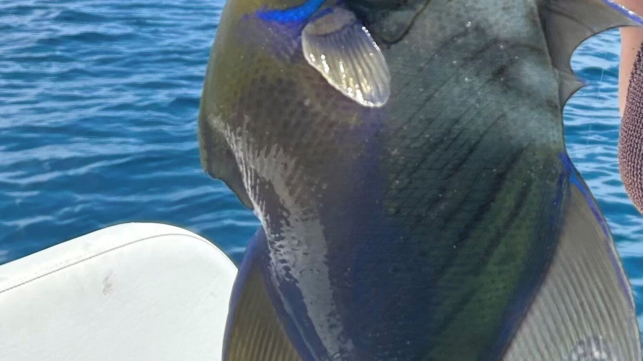 Photo of Others in Treasure Cay