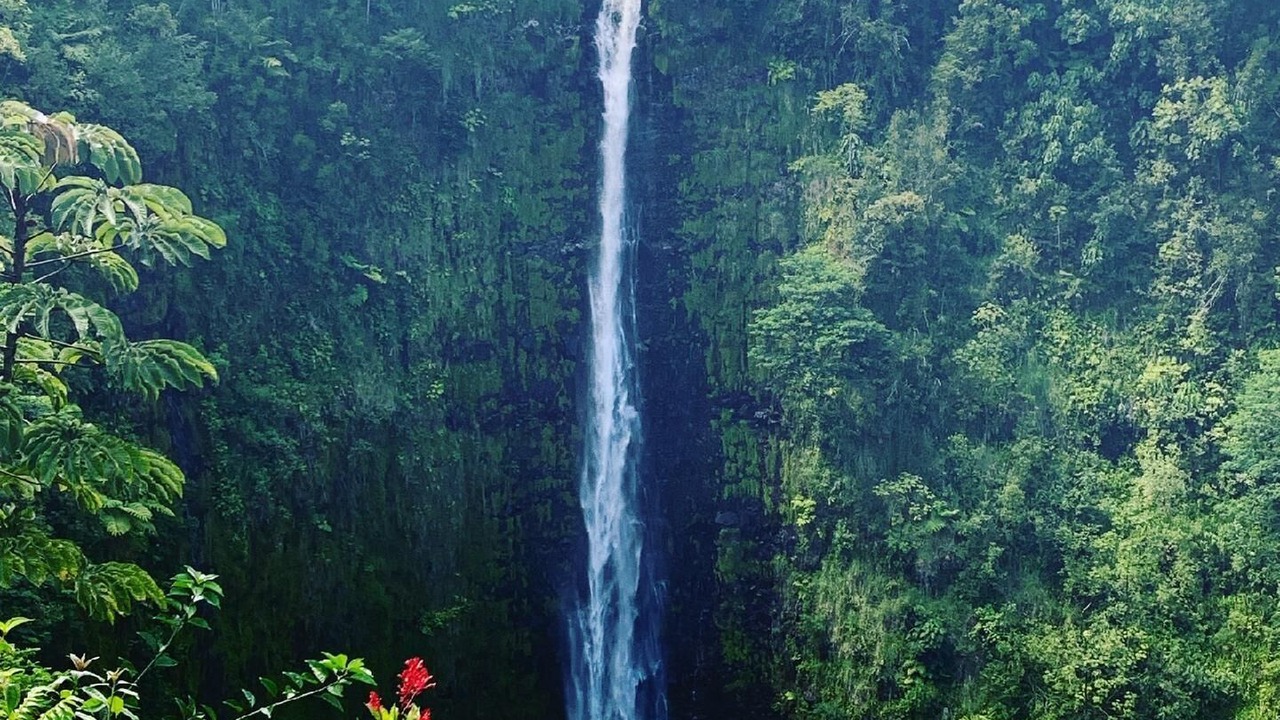 Photo of Others in Kahaluu Bay