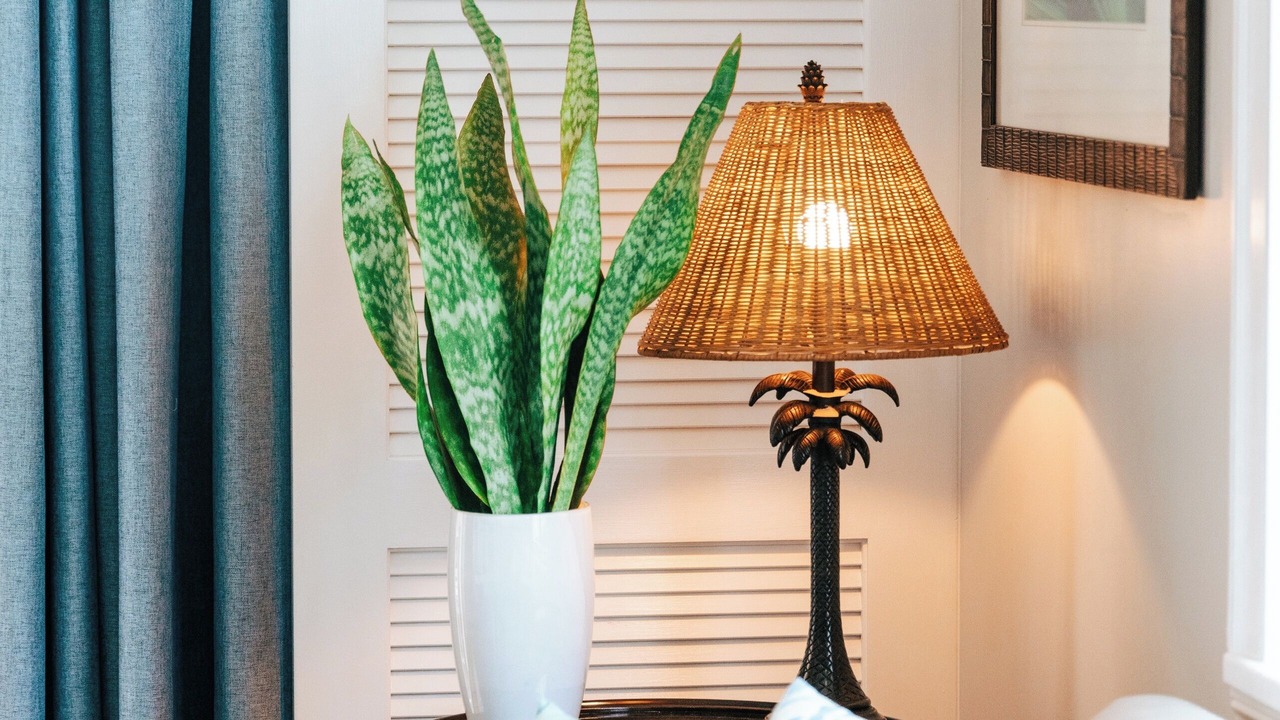 Photo of Livingroom in Dunmore Town