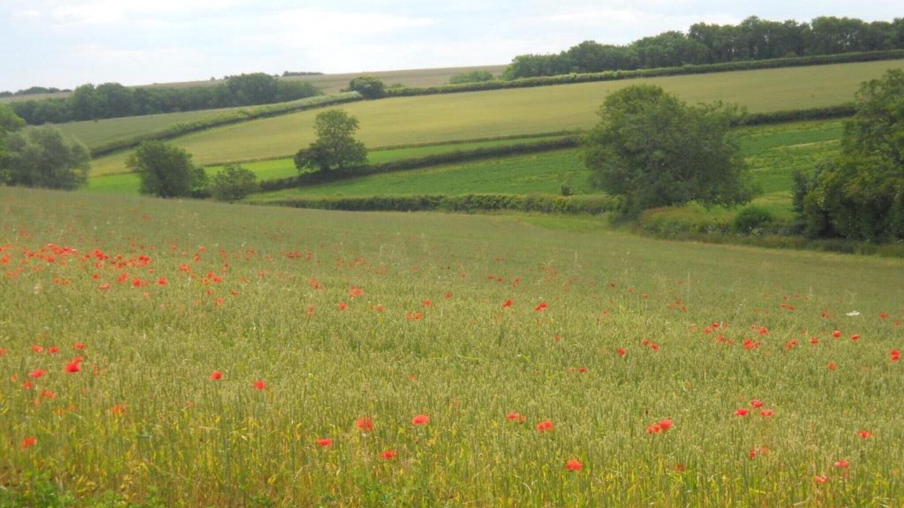 Photo of Others in Little Rissington