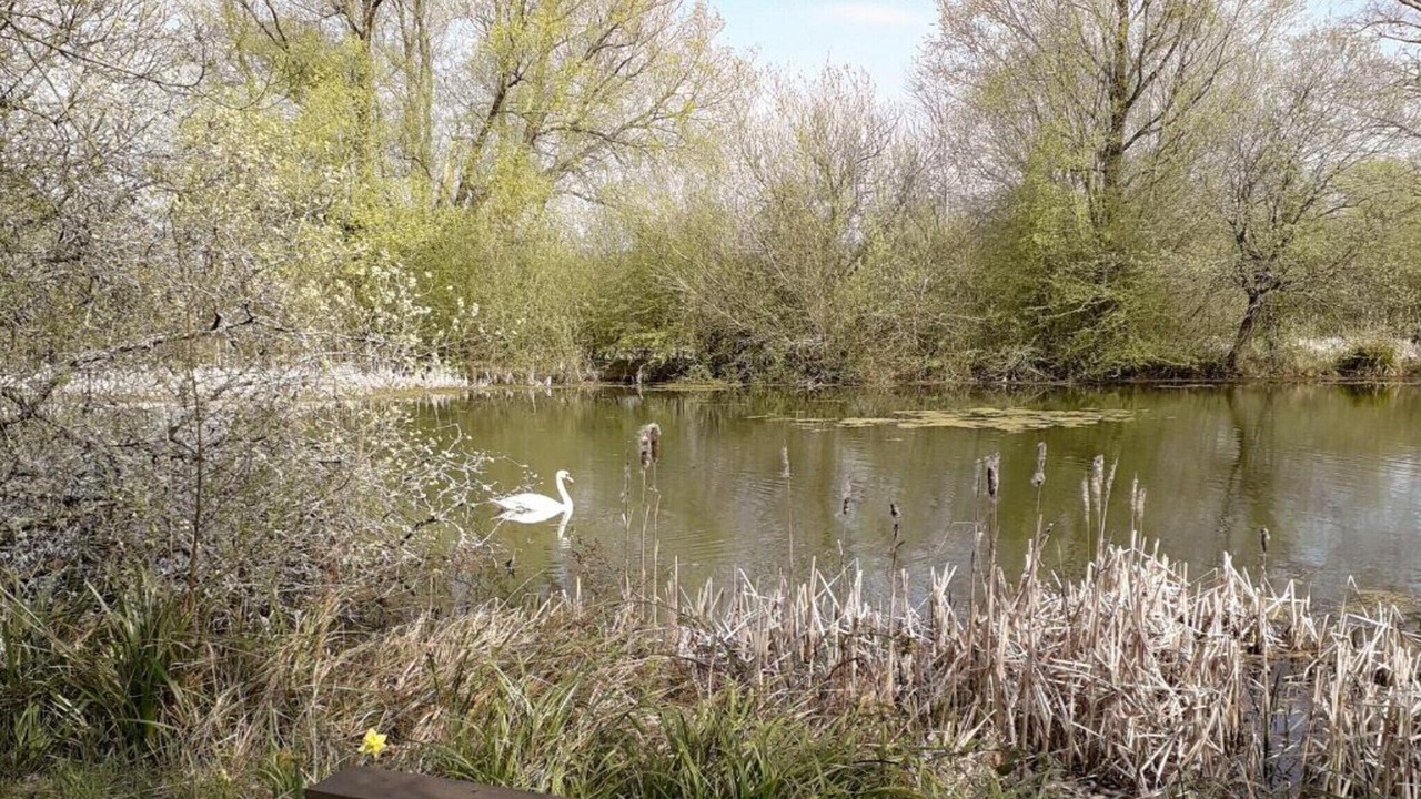 Photo of Others in Little Rissington