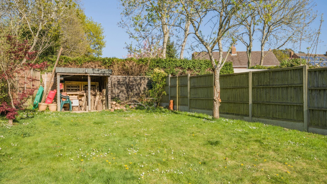 Photo of Outdoor in New Forest District