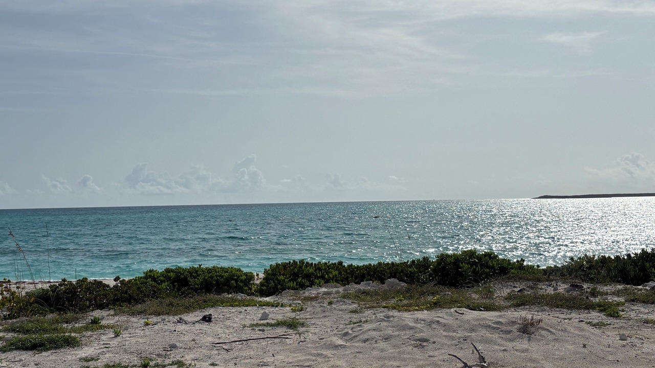 Photo of Others in Tar Bay