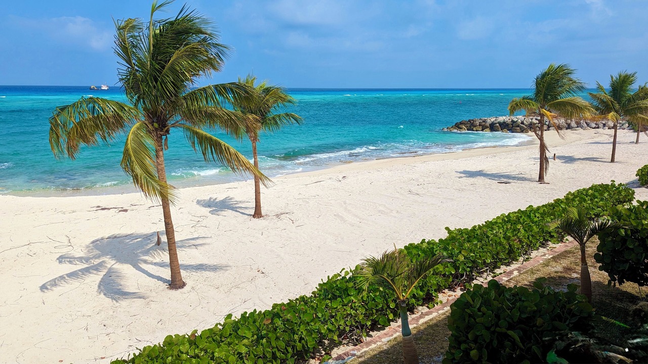 Photo of Others in South Bimini
