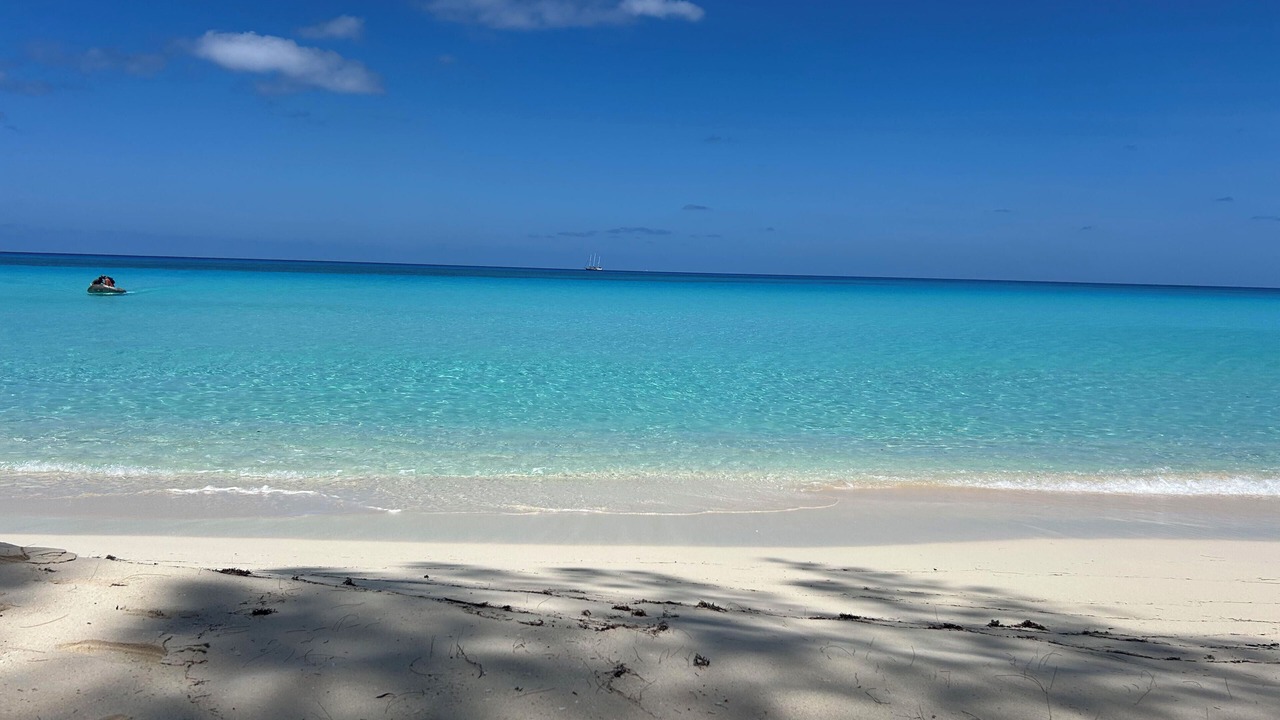 Photo of Others in North Bimini