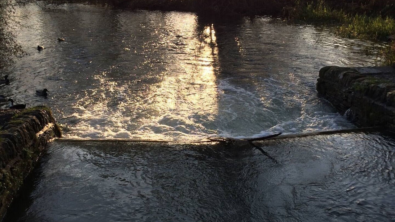 Photo of Others in Ickford