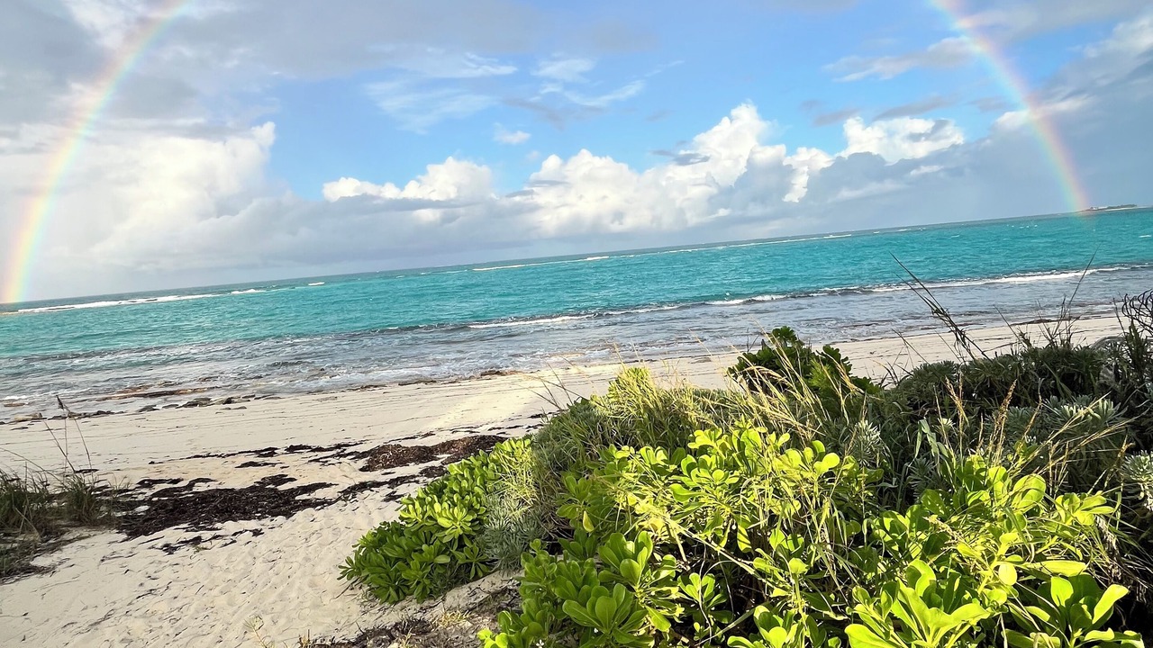 Photo of Others in Green Turtle Cay