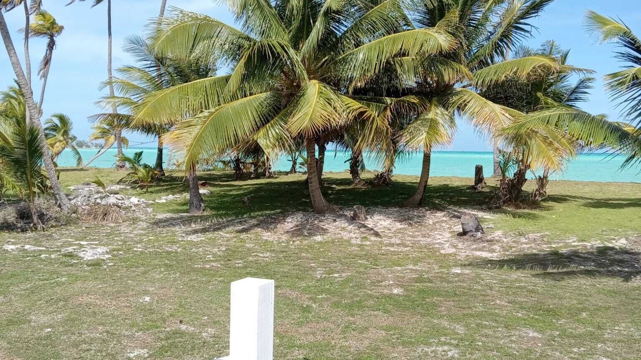 Photo of Others in Mars Bay Settlement