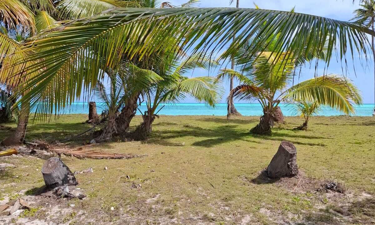 Photo of Outdoor in Mars Bay Settlement