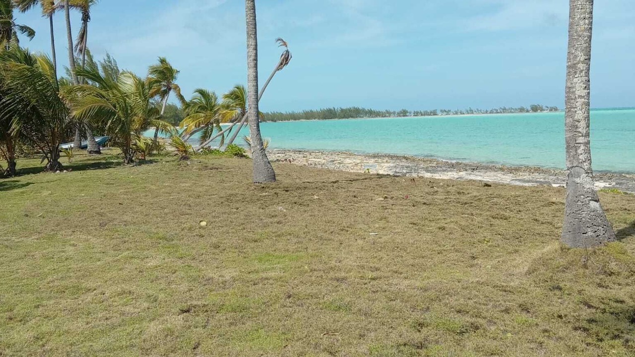 Photo of Others in Mars Bay Settlement