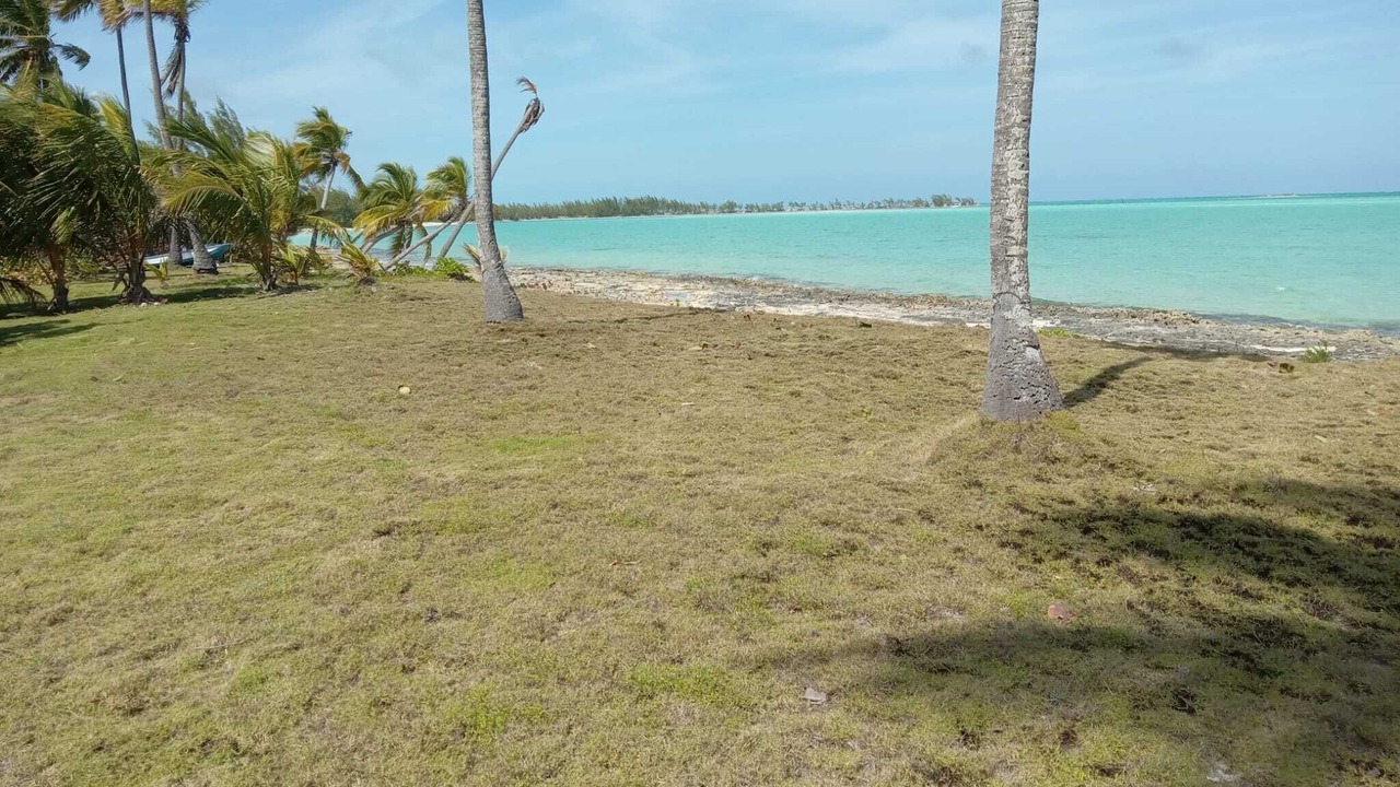 Photo of Others in Mars Bay Settlement