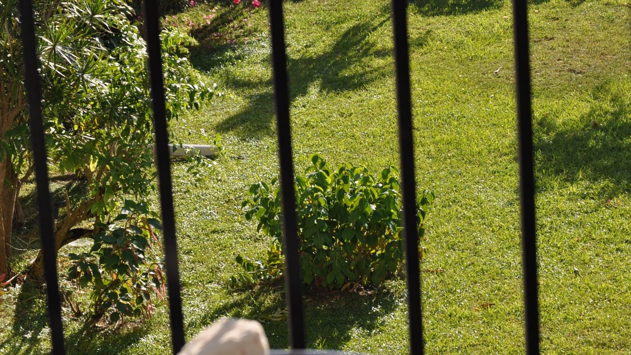 Photo of Patio Balcony in Yeoman Wood