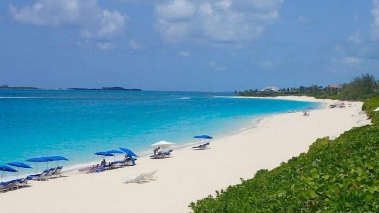 Photo of Others in Paradise Island