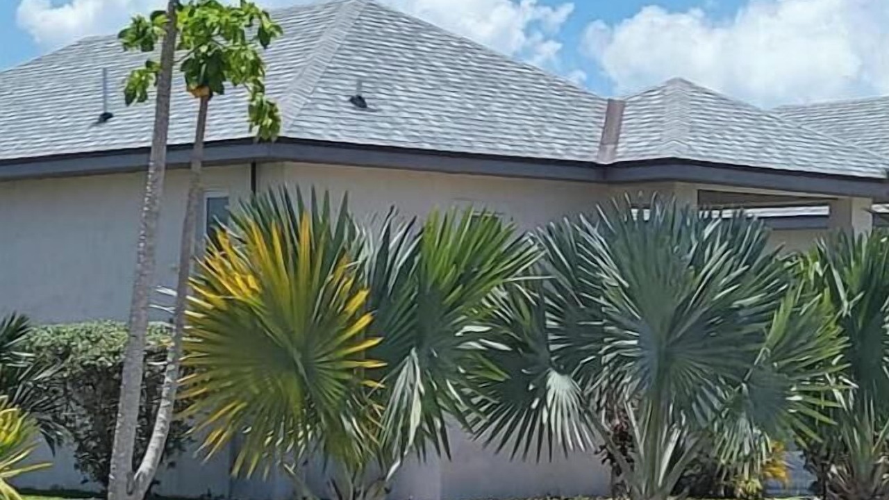 Photo of Outdoor in New Bight