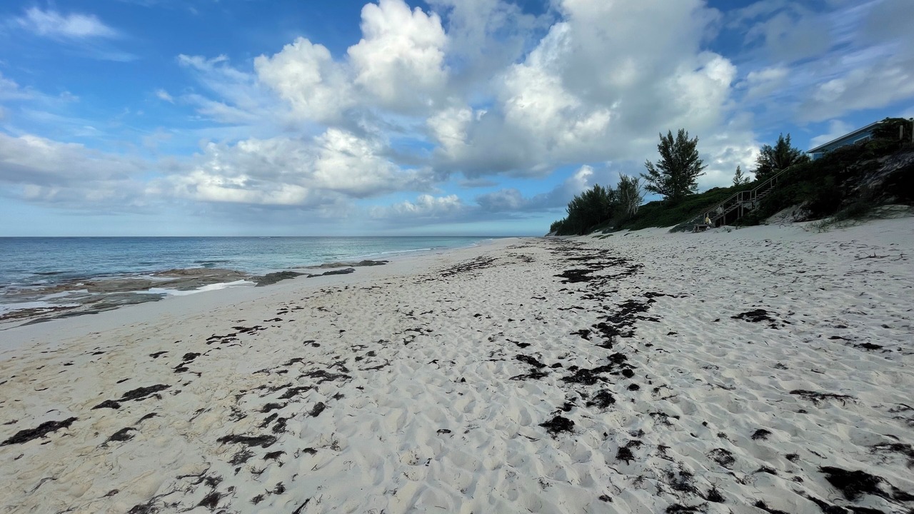 Photo of Others in Great Guana Cay