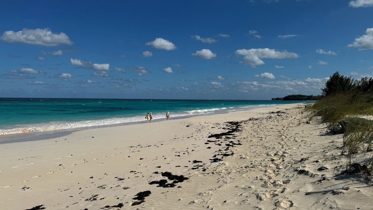 Photo of Others in North Palmetto Point