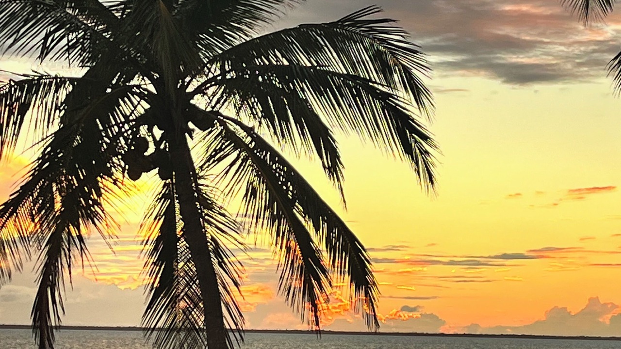 Photo of Others in Green Turtle Cay