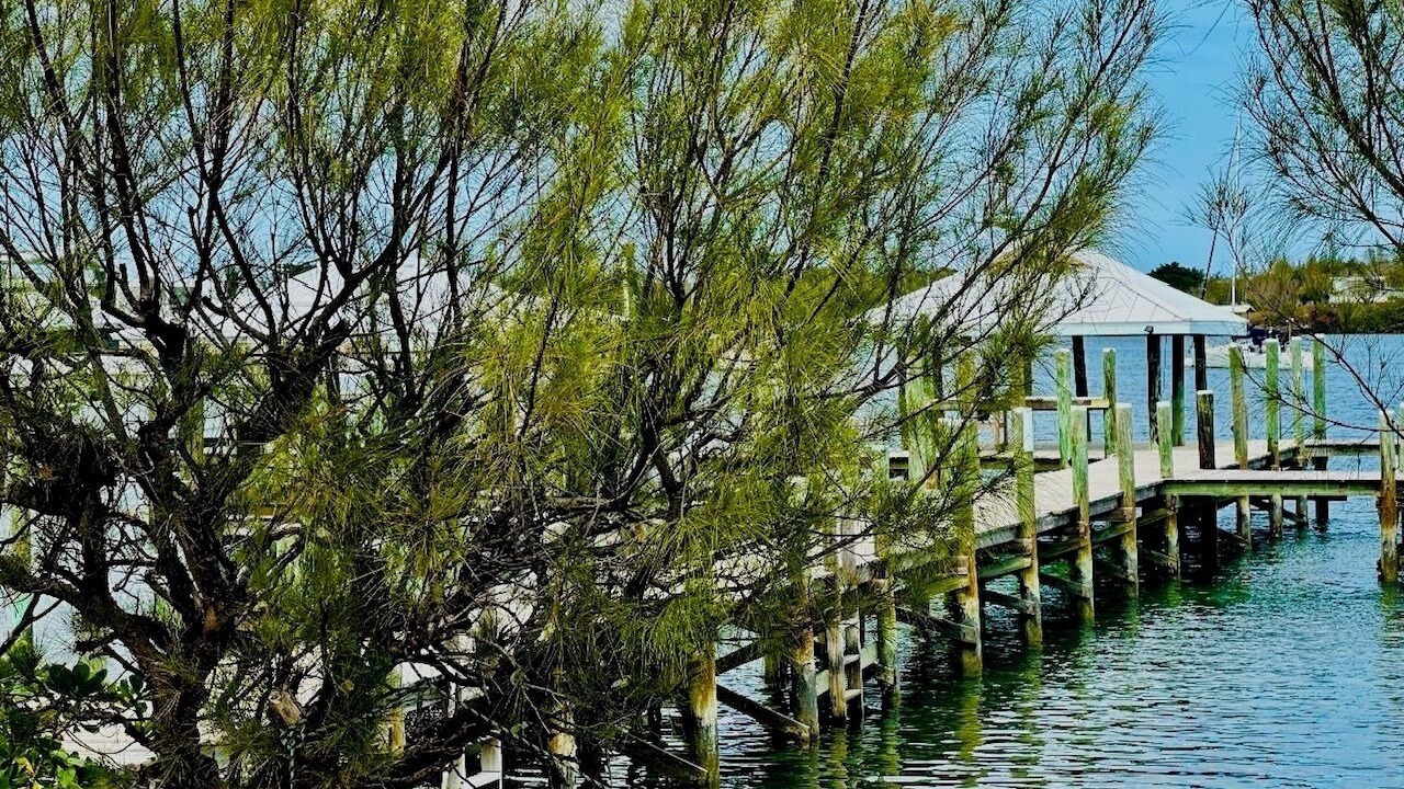 Photo of Outdoor in Green Turtle Cay