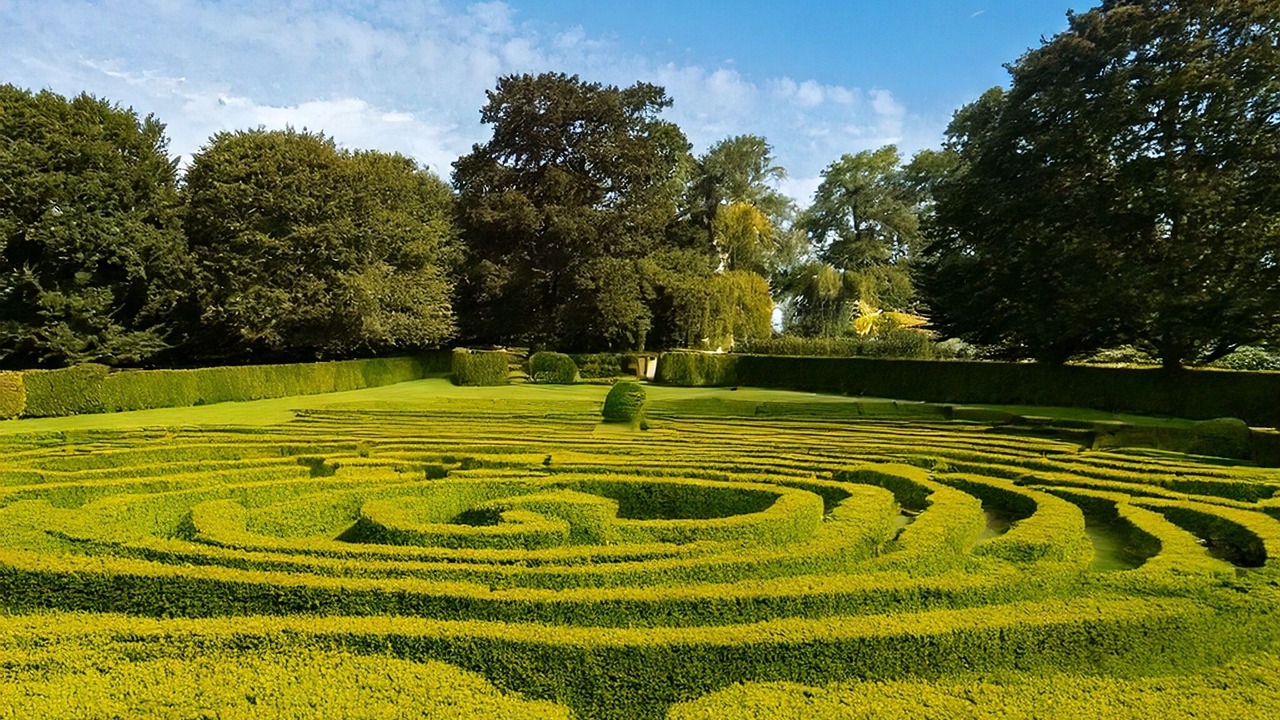 Photo of Outdoor in New Forest District