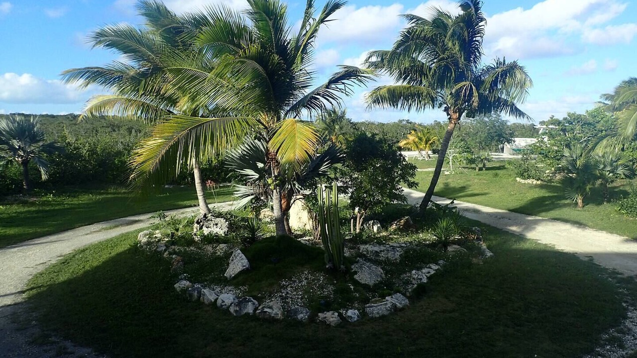Photo of Outdoor in Morris Settlement