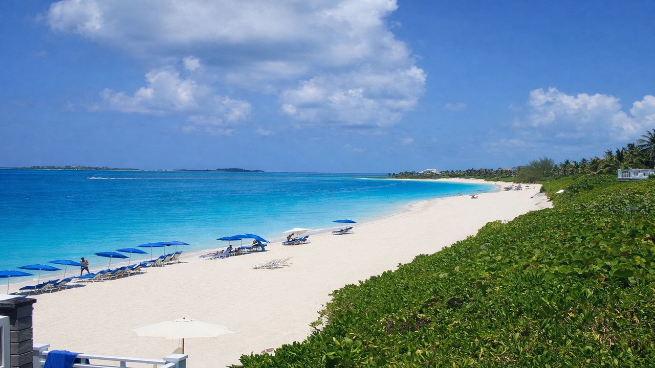 Photo of Others in Paradise Island