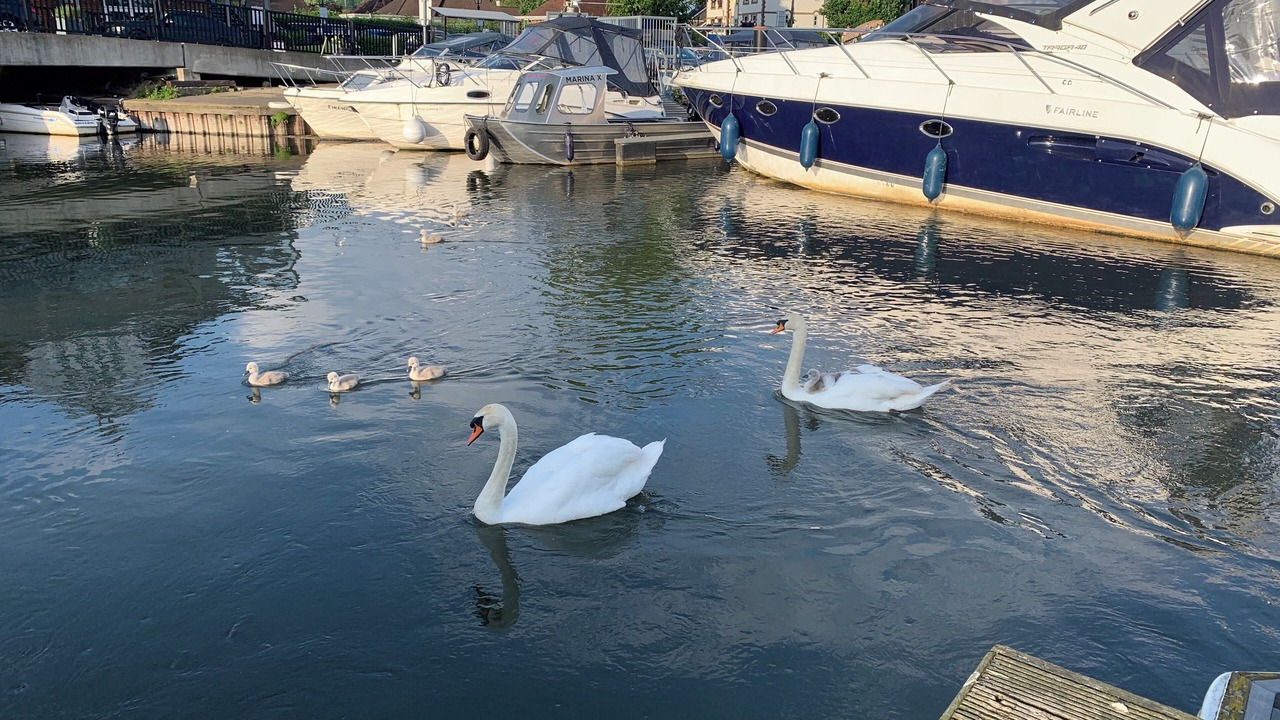 Photo of Others in Bourne End