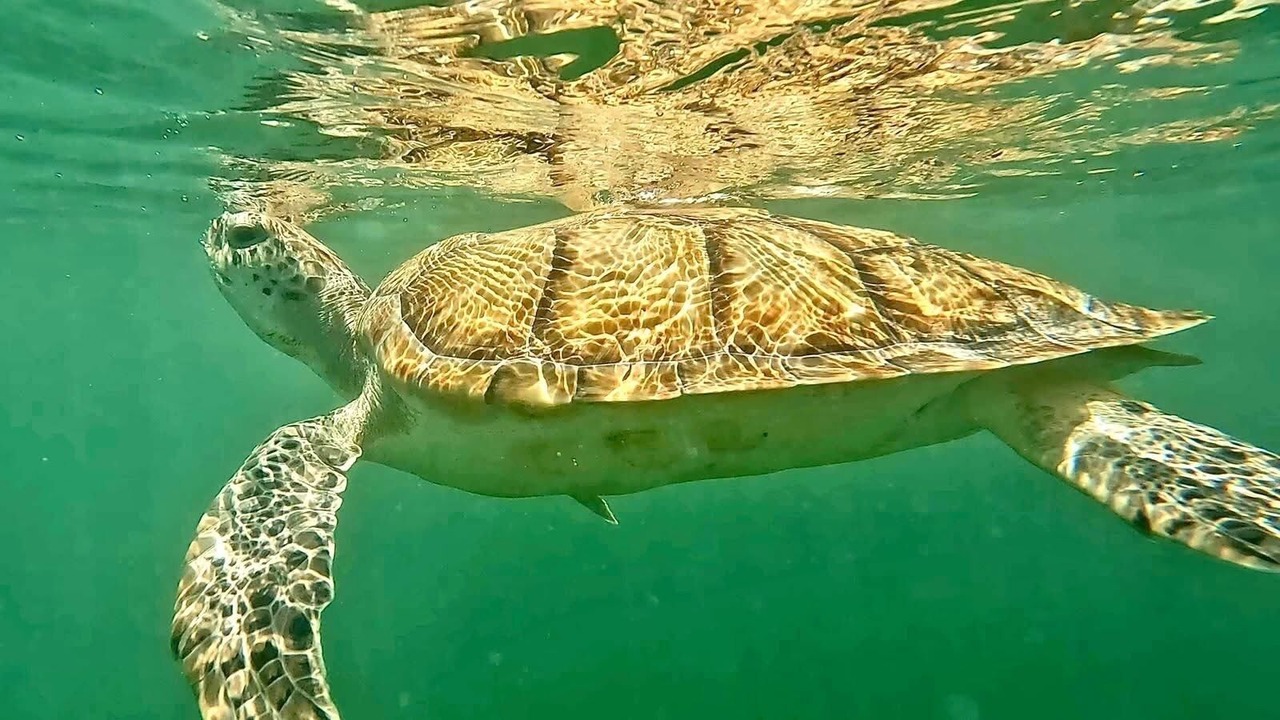Photo of Others in Treasure Cay